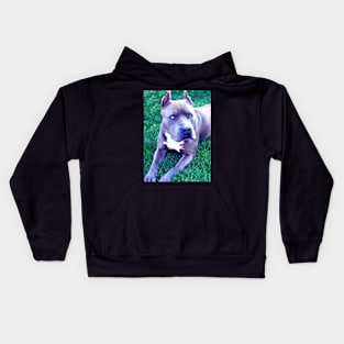 Blue Nose Pit Bull Dog Kids Hoodie